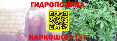крисы Обнинск