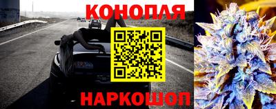 скорость Новодвинск