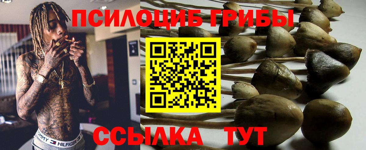 Сызрань  Галлюциногенные грибы Psilocybe  Галлюциногенные грибы Psilocybine cubensis  Вход с VPN 