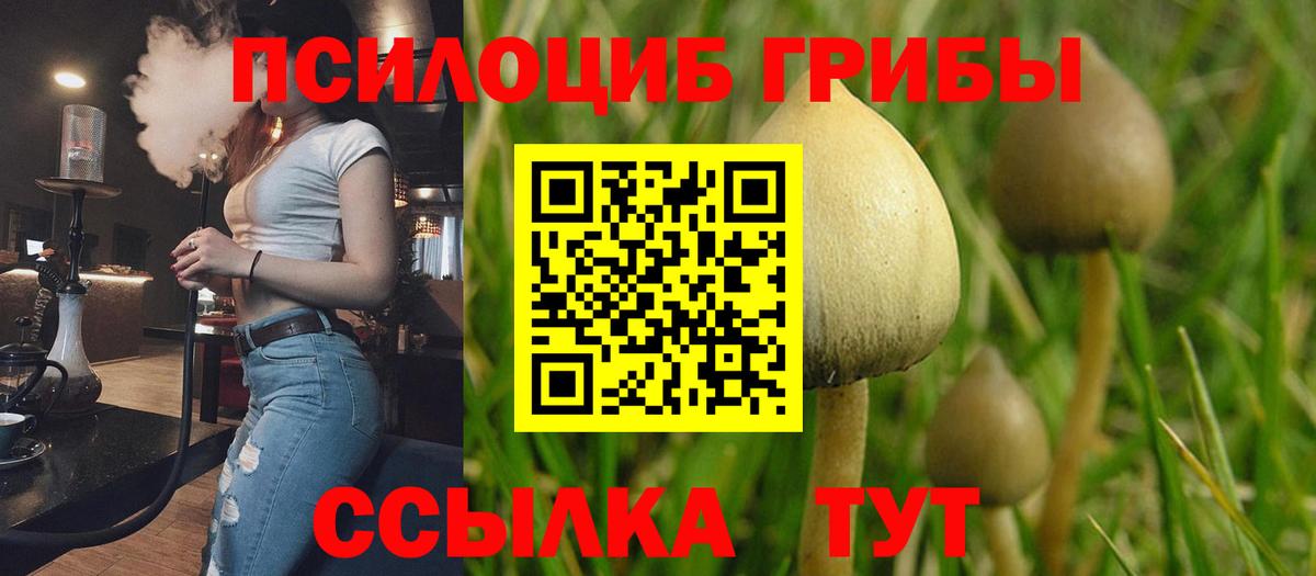 Псилоцибиновые грибы MAGIC MUSHROOMS Сызрань